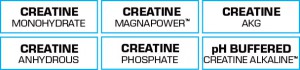 ingredients-best-creatine-bpi